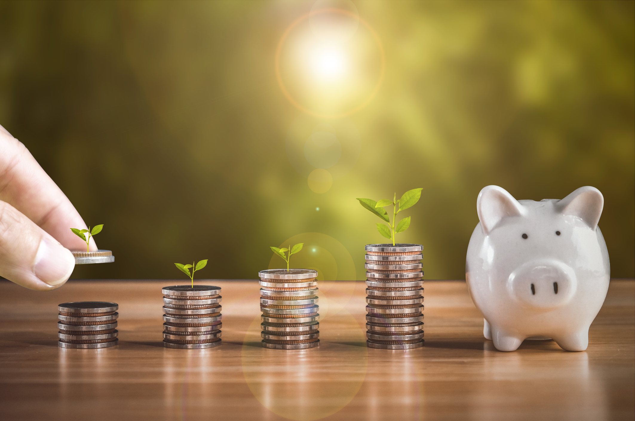 401k employer match. Close-up of stacked coins against green bokeh background. Finance and Banking Business Ideas Save money for investment, save money for retirement, prepare for the future. a tree growing on a coin