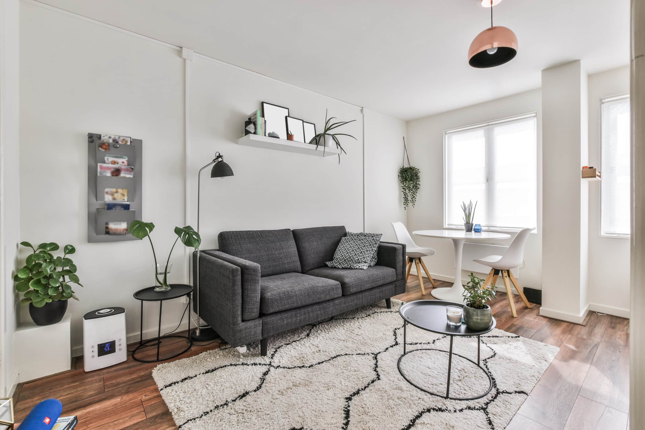 how to budget for an apartment: picture of nice living room with soda and hardwood floors.