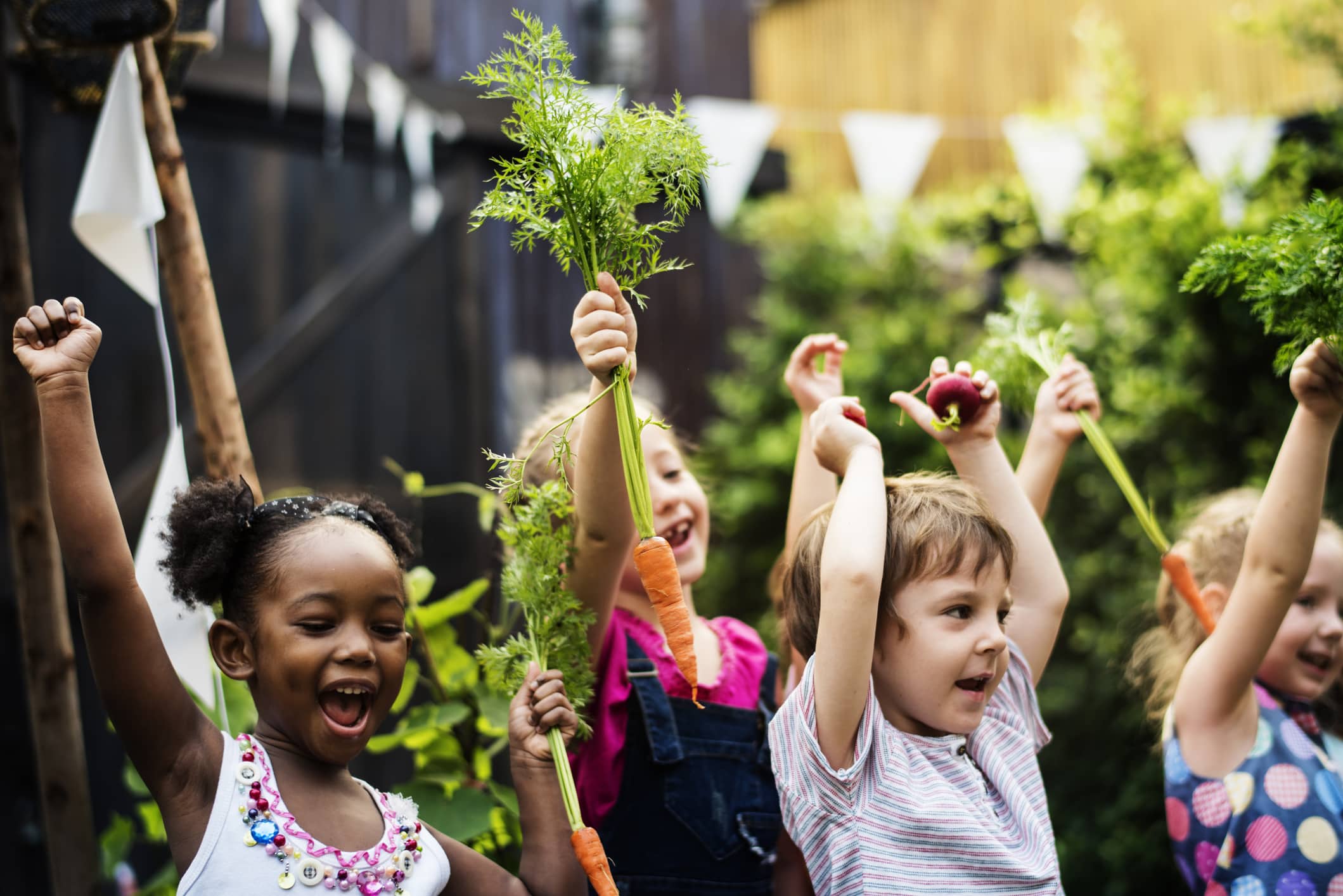 kids' activities. Kids in a vegetable garden with carrot.