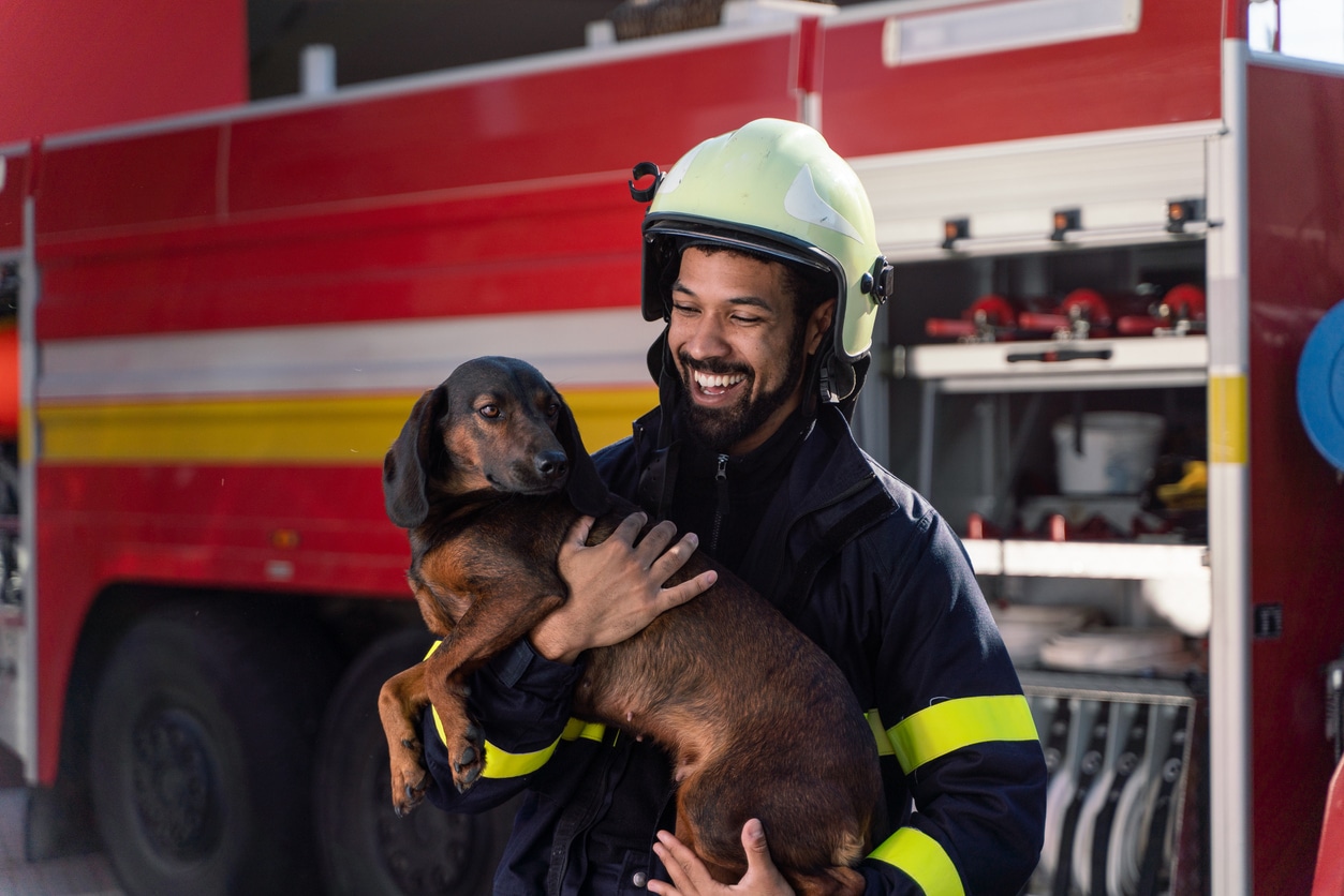 jobs without a degree, firefighter holding a dog.