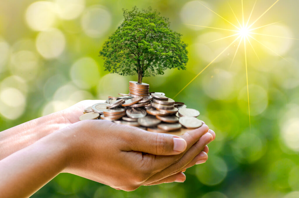 ethical banking. hand Coin tree The tree grows on the pile. Saving money for the future. Investment Ideas and Business Growth. Green background with bokeh sun
